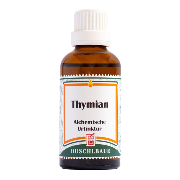 Thymian Tinktur Essenz Kraeutertropfen Bronchien Schleimloesung Husten Bakterien Viren Blutdruck