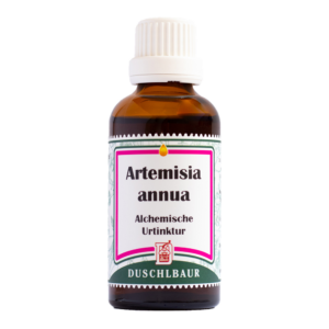 Artemisia annua Tinktur Essenz Kraeutertropfen Borreliose Zecken Heilmittel
