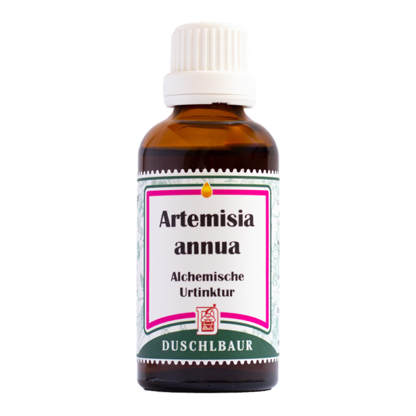 Artemisia annua Tinktur Essenz Kraeutertropfen Borreliose Zecken Heilmittel