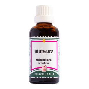Blutwurz Tinktur Essenz Kraeutertropfen Mund Rachen Menstruation Magen Darm