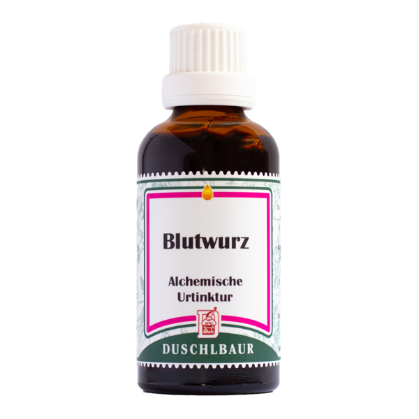 Blutwurz Tinktur Essenz Kraeutertropfen Mund Rachen Menstruation Magen Darm