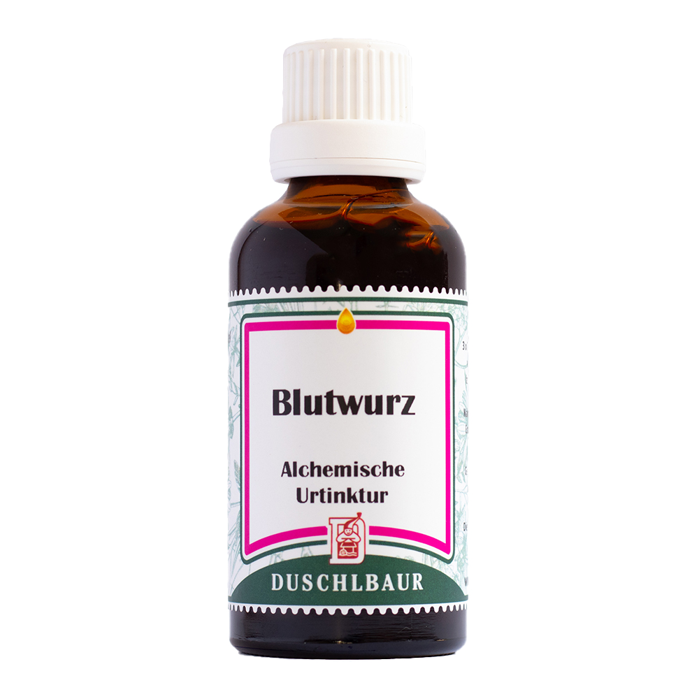 Blutwurz Tinktur Essenz Kraeutertropfen Mund Rachen Menstruation Magen Darm