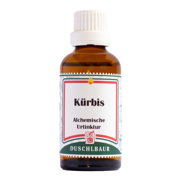 Kuerbis Tinktur Essenz Kraeutertropfen Reizblase Prostata Harn Heilmittel