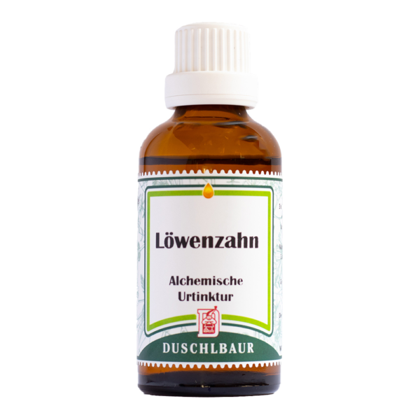 Loewenzahn Tinktur Essenz Kraeutertropfen Entgiftung Galle Verdauung Abnehmen Heilmittel