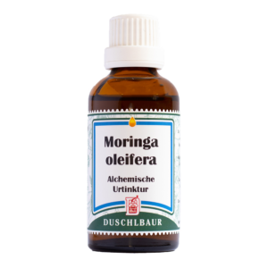 Moringa oleifera Tinktur Essenz Kraeutertropfen Zellen Hirn Immunsystem Heilmittel