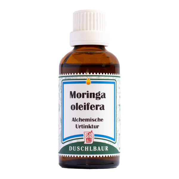 Moringa oleifera Tinktur Essenz Kraeutertropfen Zellen Hirn Immunsystem Heilmittel