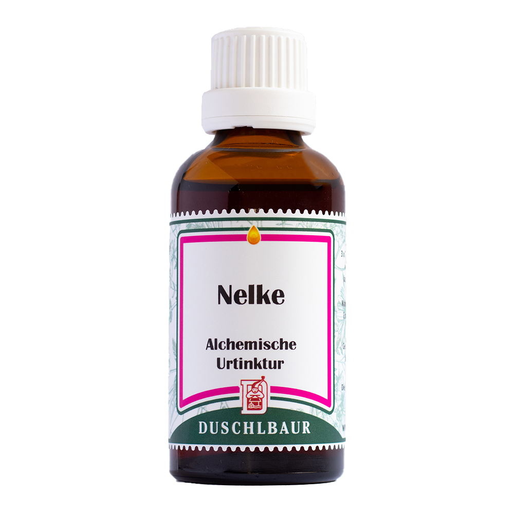 kraeuteressenz_kraeutertinktur_nelke_verdauung_appetit_schmerzen_bakterien Nelke Tinktur Essenz Kraeutertropfen Verdauung Appetit Schmerzen Bakterien