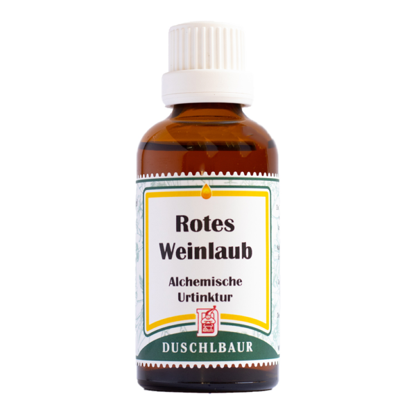 Rotes Weinlaub Tinktur Essenz Kraeutertropfen Venen Beine Besenreisser Krampfadern Heilmittel