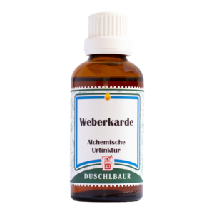 Weberkarde Tinktur Essenz Kraeutertropfen Borreliose Kopfschmerzen Entgiftung Heilmittel