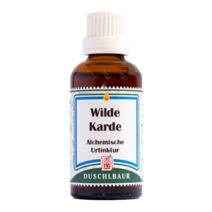 Wilde Karde Tinktur Essenz Kraeutertropfen Borreliose Immunsystem Heilmittel