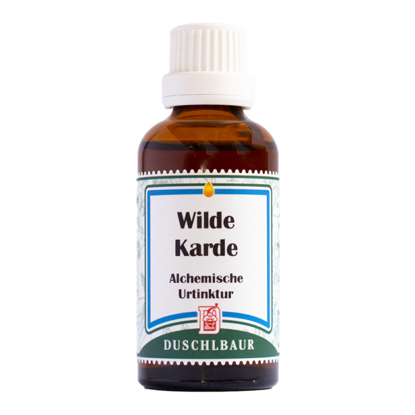 Wilde Karde Tinktur Essenz Kraeutertropfen Borreliose Immunsystem Heilmittel