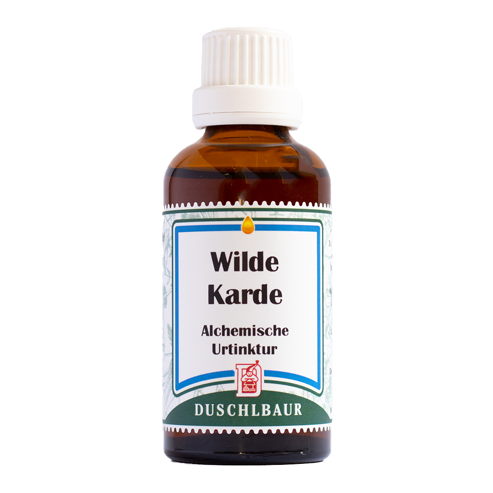 kraeuteressenz_kraeutertinktur_wildekarde_borreliose_immunsystem_heilmittel Wilde Karde Tinktur Essenz Kraeutertropfen Borreliose Immunsystem Heilmittel