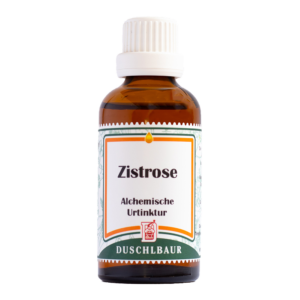 Zistrose Tinktur Essenz Kraeutertropfen Grippe Immunsystem Antiviral Candida Neurodermitis