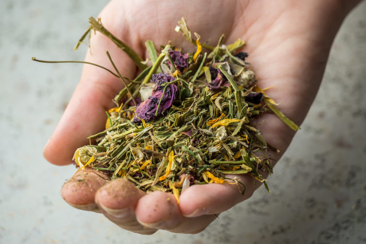 Heilkräuter Abnehmen mit Kräutern