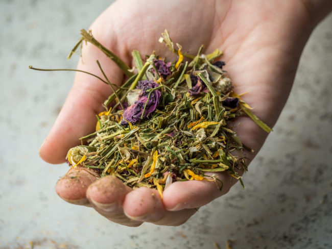 Heilkräuter Abnehmen mit Kräutern