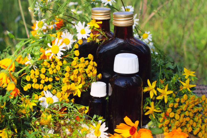 Frühjahrkur Frühlingskräuter Frühjahrskur Frühlingskräuter