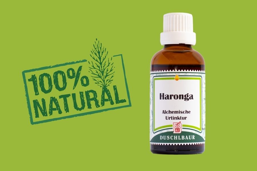 haronga-bauchspeicheldruese_leber Haronga Tinktur Tropfen