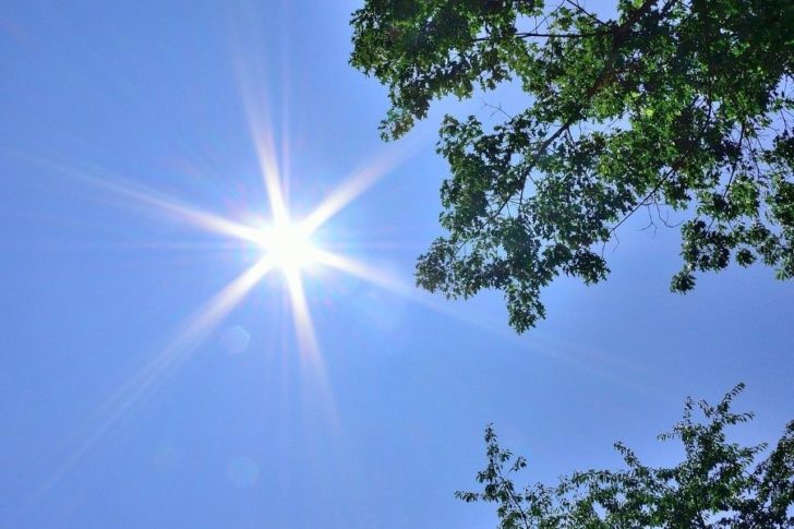 heilkraeuter-gegen-hitze Heilkraeuter Hitze Schwitzen Kopfschmerzen schwere Beine Tropfen