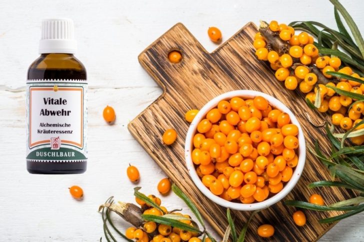 vitale_abwehr_erkaeltung Erkältungszeit Tinktur Tropfen