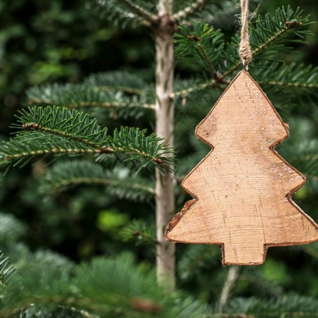 weihnachten-naturessenzen-duschlbaur Naturessenzen Duschlbaur Weihnachten