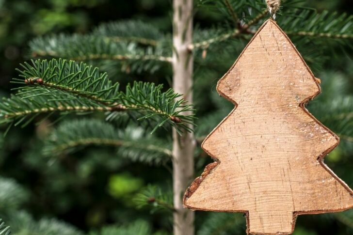 weihnachten-naturessenzen-duschlbaur Naturessenzen Duschlbaur Weihnachten