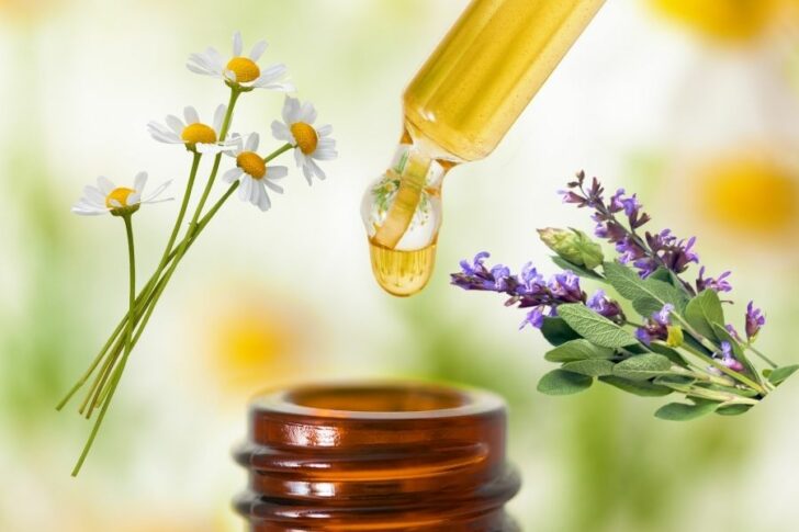 entzuendungen_mund_rachen_salbei_kamille_blutwurz Entzündungen Mund- und Rachenraum