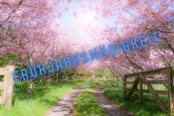 fruehjahrsmuedigkeit-heilkräuter Frühjahrsmüdigkeit Heilkräuter Tinktur Tropfen