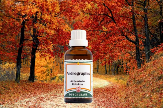 andrographis-tinktur-tropfen Andrographis Tinktur Tropfen