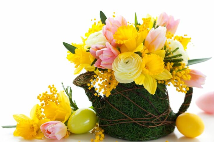 ostergruss-duschlbaur-heilkraeuter-shop Ostergruß Duschlbaur´s Heilkräuter Shop