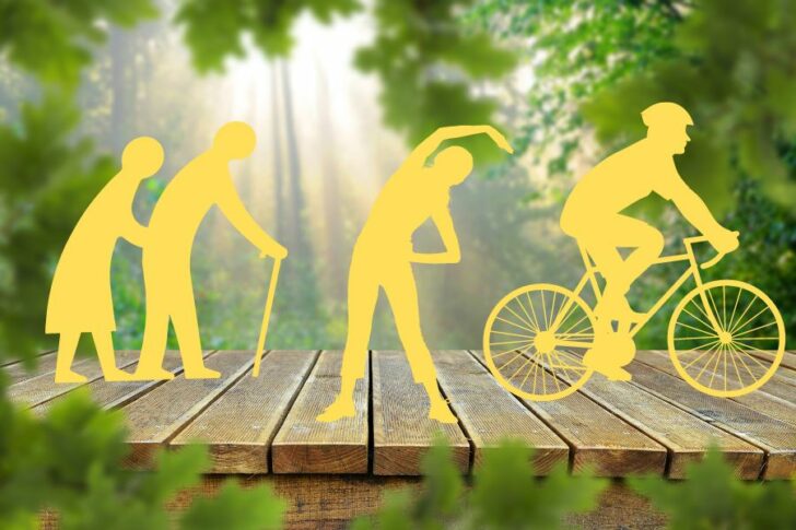 bewegung_knochengeruest Bewegung Knochengerüst Tinktur Tropfen