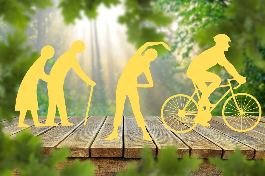 bewegung_knochengeruest Bewegung Knochengerüst Tinktur Tropfen