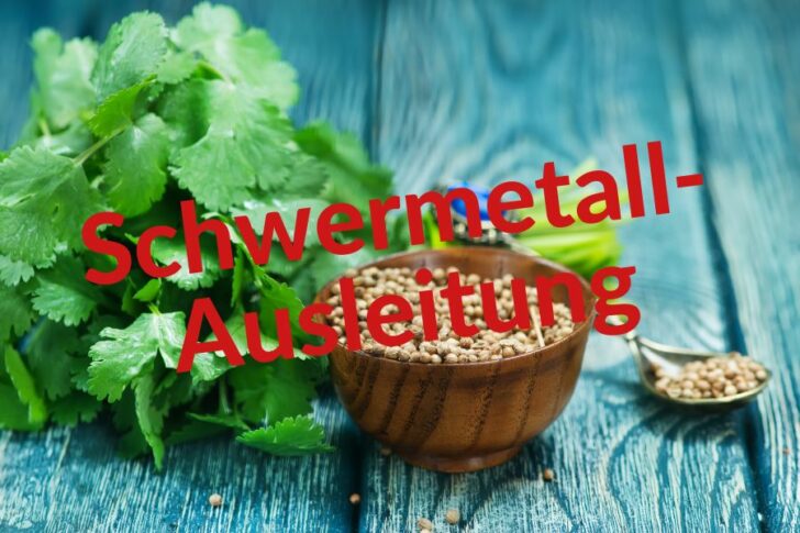 schwermetall_ausleitung Schwermetalle Ausleitung